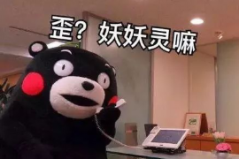 合水专业讨债公司有哪些核心服务？